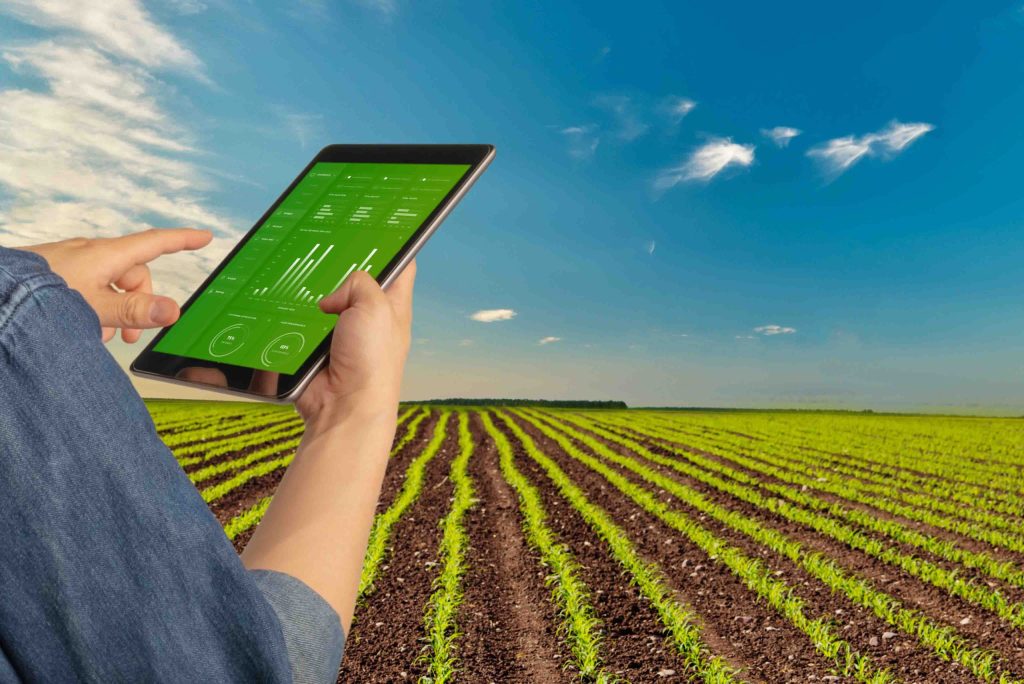 A Practical Content Strategy for Modern Farming Businesses