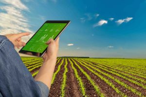 A Practical Content Strategy for Modern Farming Businesses